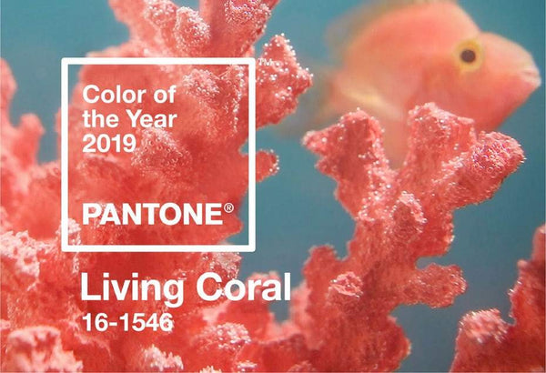 Decorating With Pantone's 2019 Color of the Year: Living Coral!