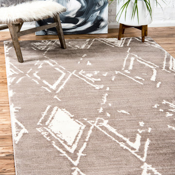 Carnegie Hill Indoor Rug - Brown